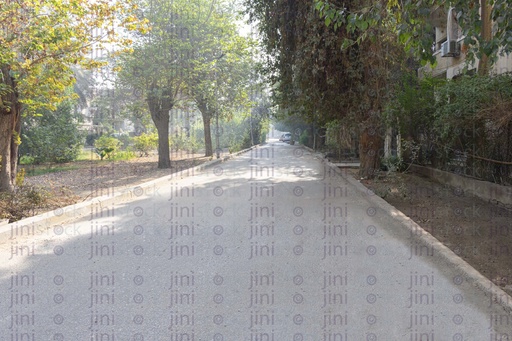 Maadi street with trees on the side High quality stock image