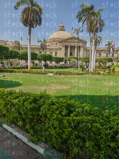 A lively scene on the path to the university's main dome