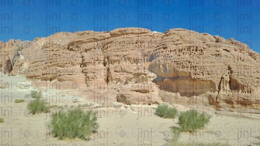 جبال سيناء ونباتات فى الصحراء فى جنوب سيناء مصر يمكن استخدمها كخلفية تصميمات
