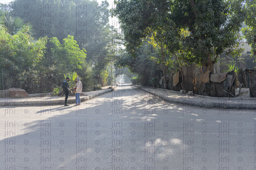 maadi streets cover by high trees