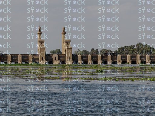 A shady pathway lined with trees in the Qanater Garden