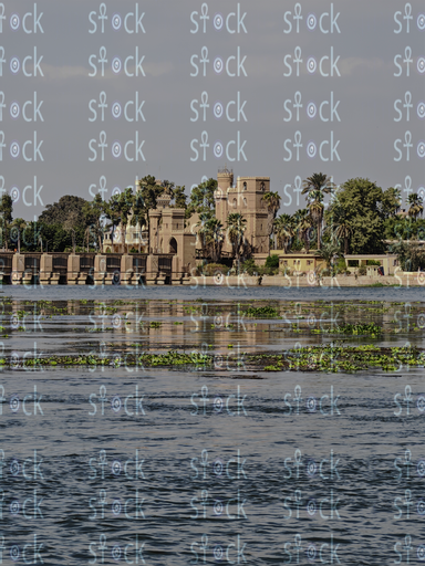 Golden Reflections at Noon