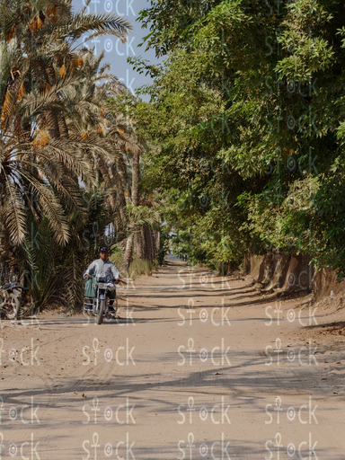  طريق وسط الطبيعة