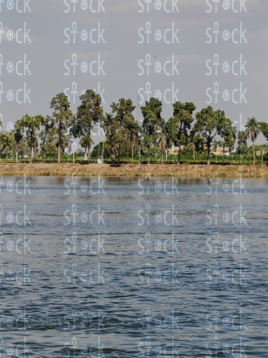 Rural Charm Beside the Flowing Nile