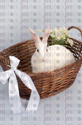 Easter rabbit in a basket-stock image