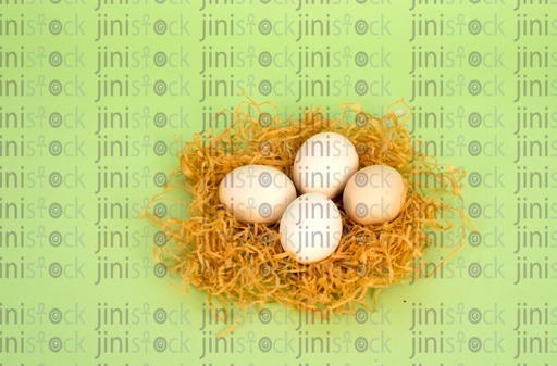 eggs in a nest -stock image