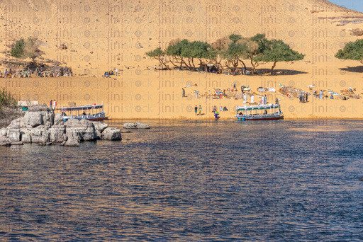 oasis in the nile banks