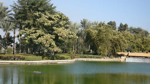 a natural view in the azhar park