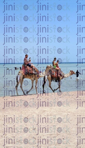 a stock image with high quality of men riding camels in sea .. اجواء الصيف